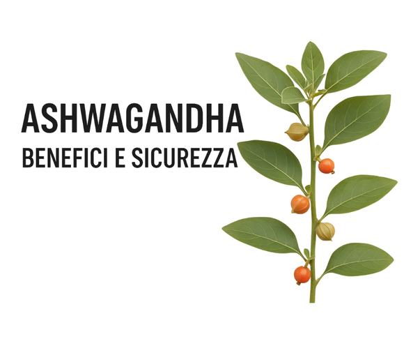 Ashwagandha: cosa dice davvero la scienza su utilizzo, benefici e sicurezza