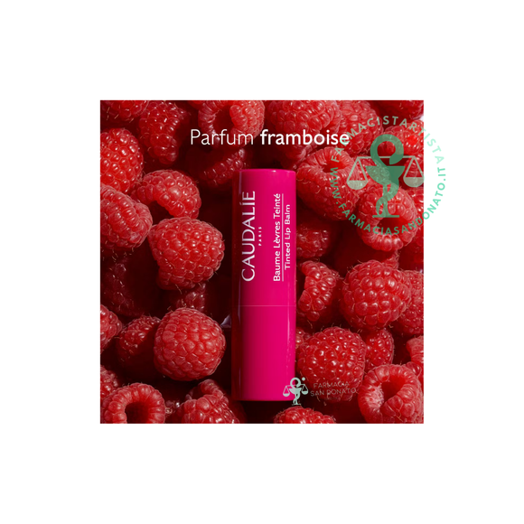 VINOTHERAPIST Balsamo labbra colorato